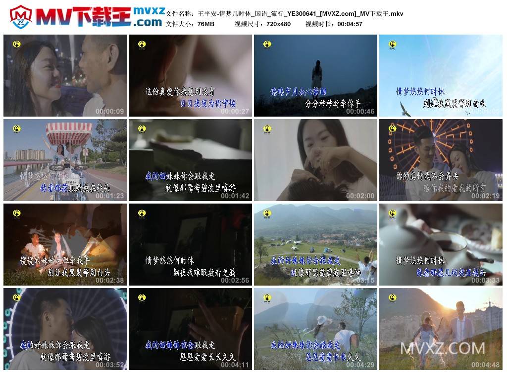 王平安-情梦几时休_国语_流行_YE300641
